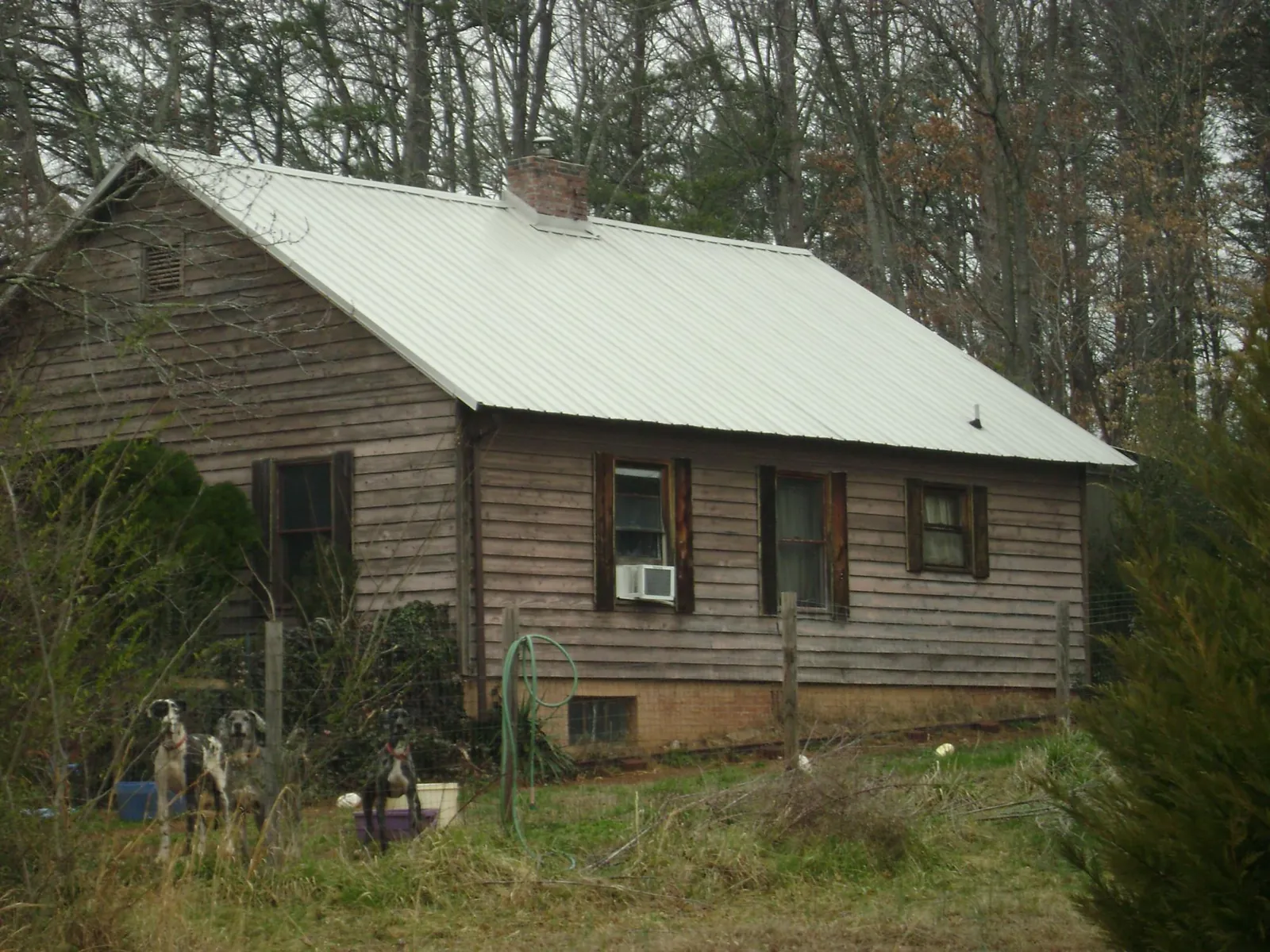 White metal roof on an old wood sided farmhouse, from a Asphalt Shingle Roof Repair job in La Salle